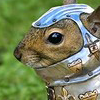 squirrelyknight: (1 | (face))