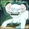 flingslass: (Kimba Headshake)