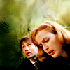 spud66cat: (Mulder/Scully Green)