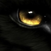 kind_of_a_nerd: ([wolf] eye)