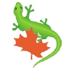 jae: (ndpgecko)