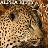 aninreh: (alpha kitty)
