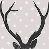 lovecrafty: a pair of antlers (=> a crown of bone)