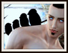 screechingviolence: bedroom eyes (Default)