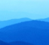 seven_samcham: (Default)