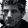wolflord_andain: (b&w fierce)