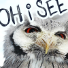 angelbabe_cj: a photograph of an owl with the words 'oh I see' set across it (oh I see owls)