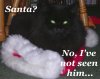 lurkingcat: (Christmas 2004)