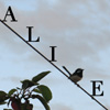 estel: (Alive)