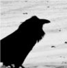 the_raven: (lonely sillhouette)