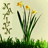 natlyn: (Default)