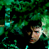 wheelsy_sheriff: (bushes)