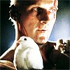 dref22: (Blade Runner)