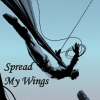spread_my_wings: (nightwing face)