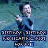 afewsmallrepairs: Harry Potter: Harry brandishing his wand, text: "destiny! destiny! no escaping, not for me!" (destiny! destiny!)