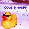 sugareey: (cool breeze duckie)