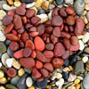 silverr: red pebbles arranged in a heart shape (lovepebble)