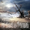 wastelandoasis: (Default)