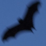 narrativian: fruitbat flying silhouetted against dusk sky (Bat-signal)
