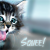 em_kellesvig: Happy kitten with the word Squee! (KittenSquee)