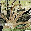 forthwritten: drawing of a giant squid grabbing a ship (terror of the depths!)