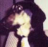 stoutfellow: (Murphy)