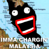 tinfoil_hatter: (IMMACHARGINMALAYSIA)