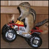 themanclion: (chippy!gene - hot pursuit)