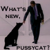 theodosia: (pussycat (by heuradys))