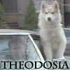 theodosia: (dief)