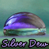 silverdew: Purple Dew Drop photograph (by me) (Default)