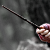 halfwitch: close up of a dark colored wand (Wands at the ready)