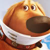 good_dug: (bad dog)