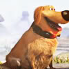 good_dug: (explainating)