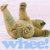 bethbethbeth: Polar Bear sliding on it's back, feet in air, with word "whee!" at the bottom (Bears Whee! (blunaris))