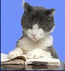 bethbethbeth: Cat reading a book (Books cat reading (bbb))
