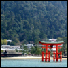 gramarye1971: floating torii at Itsukushima Shrine in Japan (Miyajima)