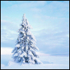kein_tannenbaum: (winter)