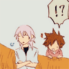 totally_a_pirate: ([riku] BUT HOW DOES IT GET IN THERE.)
