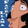 libelula: (ENG - Llama Face!)