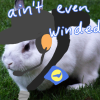 thefreakingscout: (bunny idek)