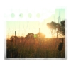 snapshotlexie: (Sunset)