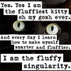 esque: (the fluffiest kitty)