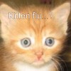 cyber_moggy: (kitten flu)