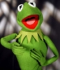 oracne: (kermit the frog)