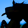 ikissdhimbck: (Cowgirl Rancher Stablehand Silhouette)