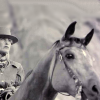 ikissdhimbck: (Cowboy on horseback b&w - Beaut)