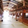 ikissdhimbck: (Milliways Stables)