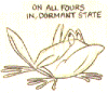 maellenkleth: a frog who is not quite ready to wake up (sleepy-frog)