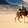 cleo: (Lawrence of Arabia: Camel)